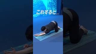 一日の疲労をリセットするストレッチ方法 #shorts