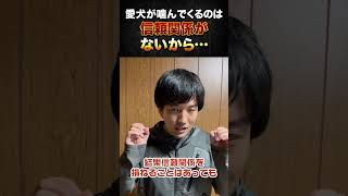 愛犬が噛んでくるのは信頼関係が出来ていないから？