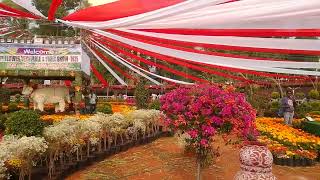 #kranthikb , yanam first boat ride 7-1-2025, flower show