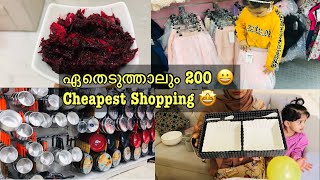 ഏതെടുത്താലും 200 😁| മങ്ങലപ്പൊരക്കെ അച്ചാറും | Shopping Vlog Malayalam | Pickle recipe in malayalam