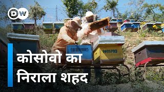 कोसोवो के शहद में कुछ खास है [Organic honey from the mountains]