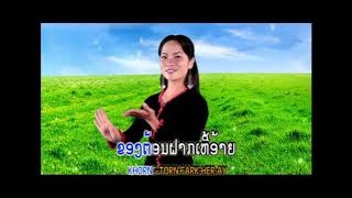 ລຳພວນ ລຳໂດຍ ນ້ອຍດອກຫຍ້າ ແດນເມືອງເໜືອ ลำพวน น้อยดอกหย้า Lam Phuan /Ts Studio