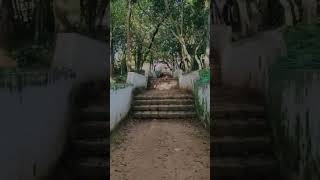 കാടിന് നടുവിൽ ഒരു കാവ് | 🌳മുളഞ്ഞുർ കാവ് 🌳| #kerala #nature #lovingnature #nostalgia