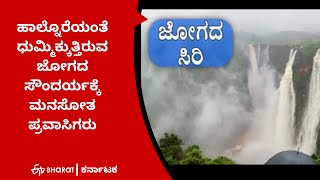 ಹಾಲ್ನೊರೆಯಂತೆ ಧುಮ್ಮಿಕ್ಕುತ್ತಿರುವ ಜೋಗದ ಸೌಂದರ್ಯಕ್ಕೆ ಮನಸೋತ ಪ್ರವಾಸಿಗರು