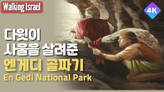 황무지 광야 가운데 있는 오아시스, 엔게디 국립공원(다윗의 폭포)을 함께 걸어봅시다