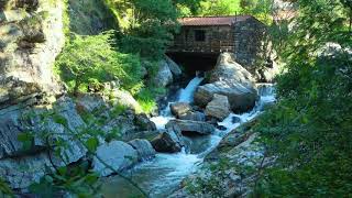 Zen Waterfalls and More: The cabin