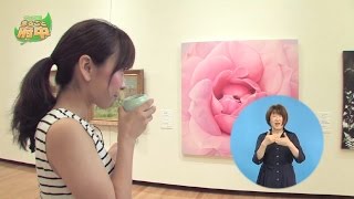 まるごと府中2016年8月11日～20日放映分