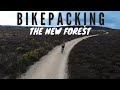 BIKEPACKING THE NEW FOREST