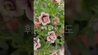 필요하신분 문자주세요 01094941777