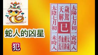 靈簽開示：2025 蛇年蛇人運程