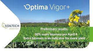 Rapeseed oil trial foliar fertiliser preliminary result