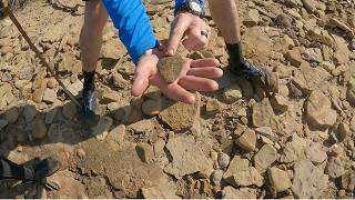 Darrel's BIG Find