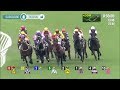 3屆馬王金鎗六十決定退役 一片重溫在港26場頭馬