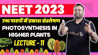 Photosynthesis in Higher Plants NEET 2023 |Uch Padpo Me Prakash Sanshleshan NEET Biology Preparation