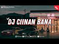 DJ CIINAN BANA - FAUZANA JEDAG JEDUG VIRAL TIKTOK