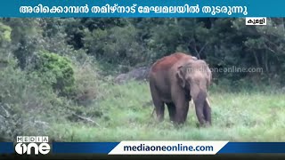 അരിക്കൊമ്പനെ പെരിയാർ വന്യജീവി സങ്കേതത്തിലേക്ക് കയറ്റാനുള്ള തമിഴ്‌നാടിന്റെ ശ്രമം തുടരുന്നു