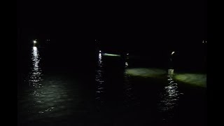 ホタルイカの身投げ・ホタルイカ掬い　富山湾　～2019/3/10　未明～　firefly squid throws Toyama bay ~ 2019/3/10 early morning ~