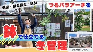 【鉢植えでバラアーチ】（剪定・植え替え・誘引）by花夢館＊竹ちゃん