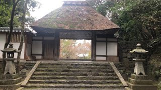 (20250211)京都　法然院(最近は観光客の急増で静けさを感じることが難しくなってきたので、朝に赴いてみました！)