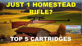 TOP 5 CARTRIDGES For Your 1 HOMESTEADING RIFLE