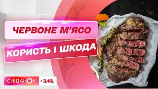 Червоне м'ясо: користь, шкода та як правильно їсти