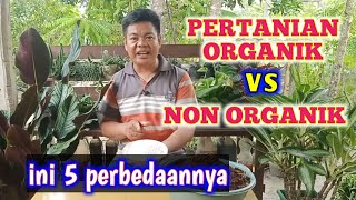 5 Perbedaan Antara Pertanian Organik Dengan Pertanian Konvensional