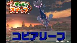 【調査レベル2(MAX)】コピアリーフ(夕) New ポケモンスナップ