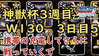 ［DQMSL］GP神獣杯 3週目 3日目 楽しくておかわり