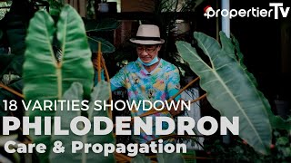 My Philodendron Collection | 18 Rare Varities | Care and Propagation and Secret