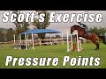 show jumping exercises scott s exercise good show prep