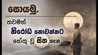 තවම අන්තගාමි වී තිබෙන ''රහත් නොවුන සිත...'' _Niwan Dakimu