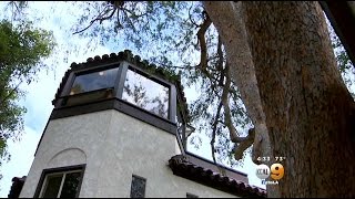 How A Historical Site Transformed Into Cozy Rancho Cucamonga Home