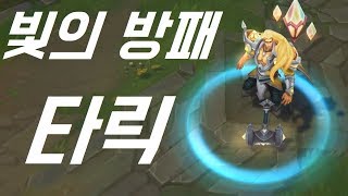 빛의 방패 타릭 스킨