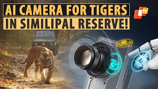 AI Camera To Be Installed For First Time In Country In Odisha To Safeguard Similipal Tiger Reserve