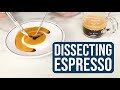 Dissecting Espresso Extractions: TDS, EY & More