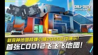 【使命召唤手游】首张飞飞飞地图！新变种地图核弹镇2065正作游览 #究刺