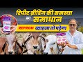 गाय (पशुओं) में रिपीट‌ ब्रीडिंग (Repeat Breed) की समस्या का समाधान एक मात्र REPRON ब्याहना तो पड़ेगा