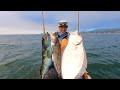 Live Bait Limit and a BONUS - Saltwater Kayak Fishing SUCCESS