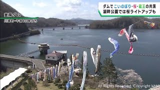 釜房ダムにこいのぼり　みちのく森野湖畔公園で桜が見頃　春爛漫の宮城・川崎町