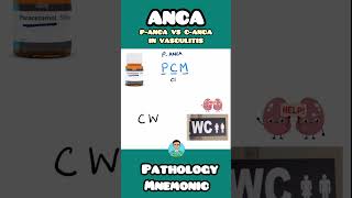 P-ANCA VS C-ANCA in different vascultis | easy mnemonic