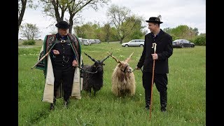 Szent György-napi Kihajtási Ünnep 2019 Hortobágy