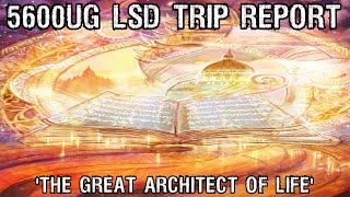 Accessing the Akashic Records on 5600ug of LSD