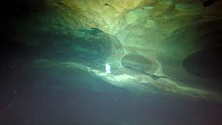 Crazy freediver makes it to Piano Room 300ft inside cave at Vortex Springs
