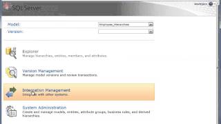 SQL Server 2008 R2 Master Data Services Interface