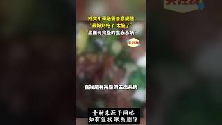 社会百态 | 外卖小哥送餐善意提醒：“最好别吃了 太脏了” “上面有完整的生态系统”