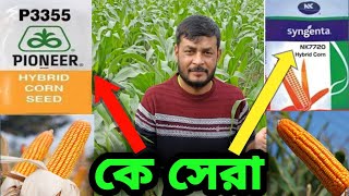 পাইনিয়র ৩৩৫৫ এর ফলন বেশী  নাকি সিনজেন্টা(NK7720)বেশি। ২জাতের পার্থক্য দেখেনিন।