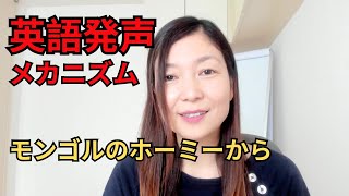 【英語の声が手に入る！】日本語と英語の発声の違い