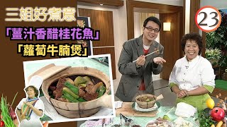 食譜 :「蘿蔔牛腩煲」、「薑汁香醋桂花魚」 | 三姐好煮意 #23 | 陳穎妍、麥雅緻、蔡康年、蕭秀香 | 粵語 | TVB 2008