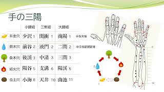 【経絡経穴を覚えよう】五兪穴