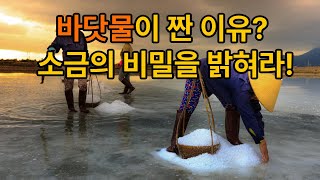 바닷물은 왜 짤까? 소금의 순환과 바다의 화학 #바다과학 #소금의비밀 #자연과학